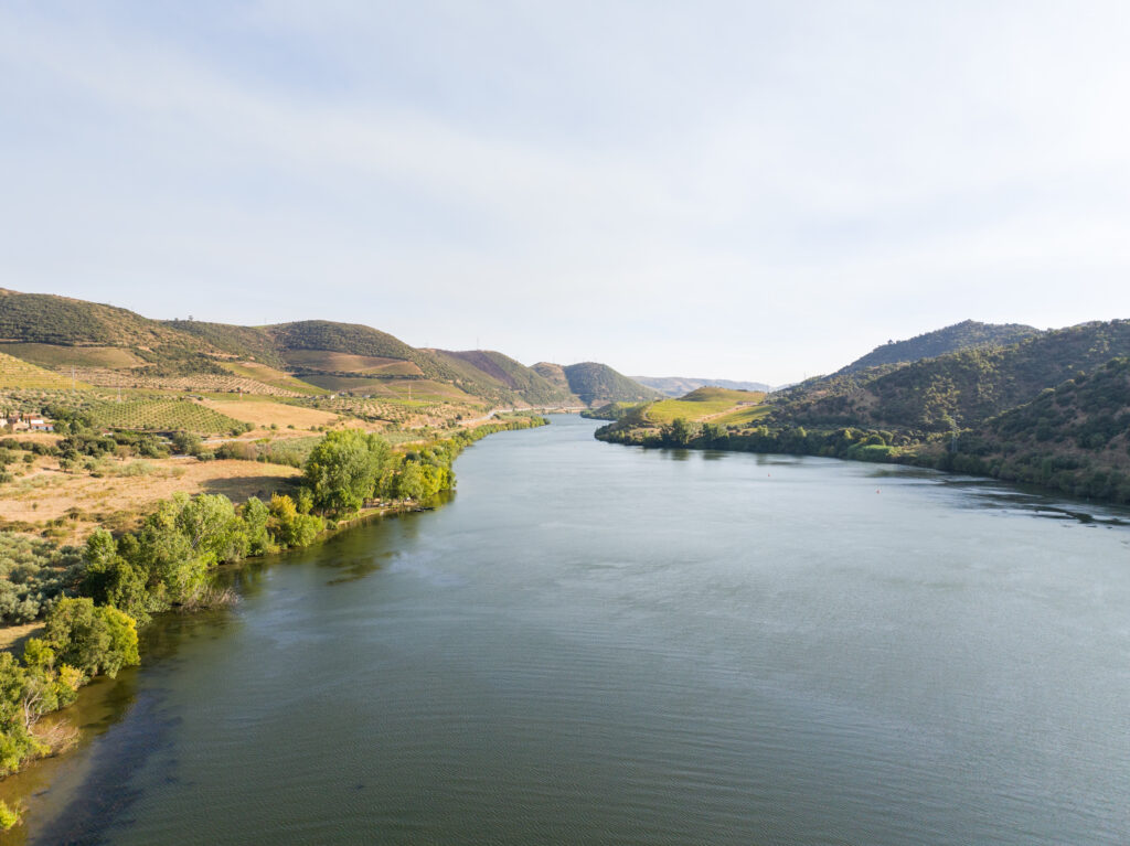 vinho sabor douro